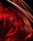 Romance - Maison du parfum